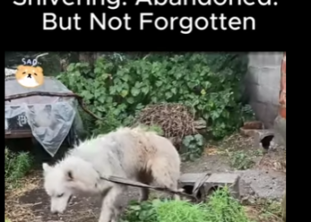 C0809008 Soaking Wet (Part 2)