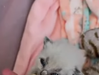 C1012010 He Lost His Whole Family (Part 2)