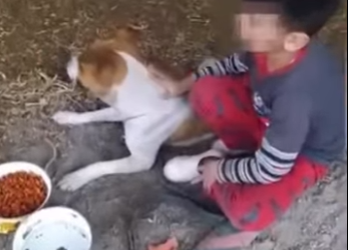 V1012011 Pensaron que abandonaría su perro la verdad fue otra (Parte 2)