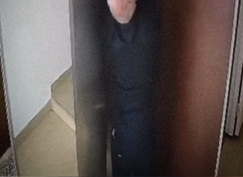 V1012009 Un simple error casi le cuesta la vida su perro (Parte 2)