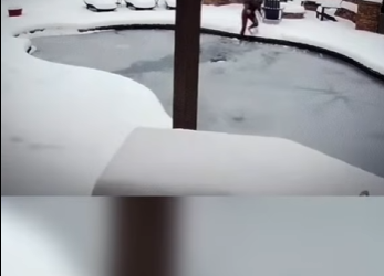 V1012001 Arriesgó su vida para salvar su perro del hielo(Parte 2)