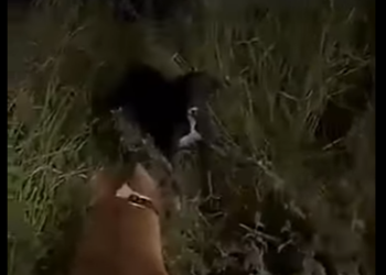 V1012002 Enfrentamiento entre estos dos (Parte 2)