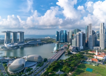 U1112009 cãezinhos são resgatados de baixo de ponte (Parte 2)