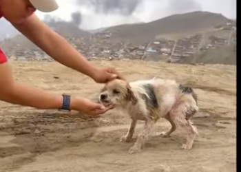 U1212005_Do lixão ao recomeço (Part 2)