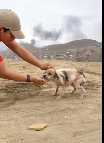 U1212005_Do lixão ao recomeço (Part 2)