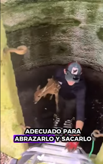 A1212009 Gatito rescatado (Parte 2)