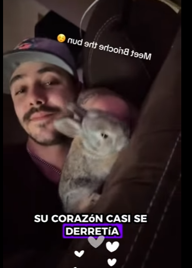 A1212007 Conejos rescatados (Parte 2)