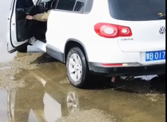 A1212003 Gatito rescatado (Parte 1)