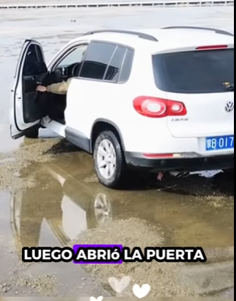 A1212003 Gatito rescatado (Parte 1)