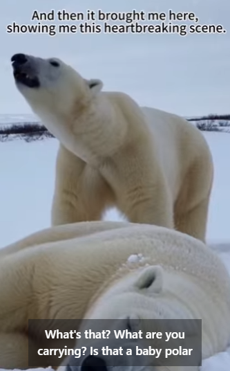 P1012007 helped mother polar bear was asking me help (Part 2)