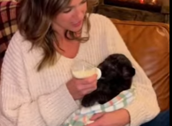 P1012006 Story of Black Panther (Part 2)