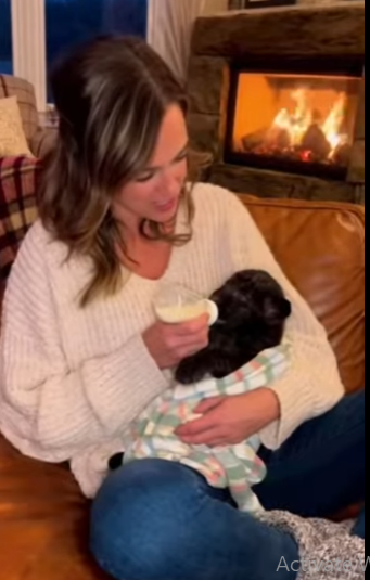 P1012006 Story of Black Panther (Part 2)