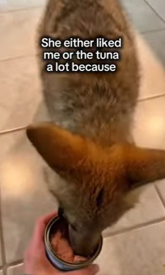 P1314005 bear almost took her! (Parte 2)