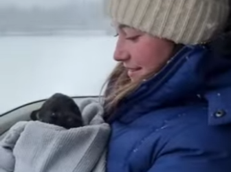 P1314007 helped she panther save her cub,and then happened (Parte 2)