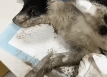 Their new beginning starts here (Part 2)