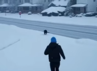 P1012011 Story of Black Panther Us (Part 2)