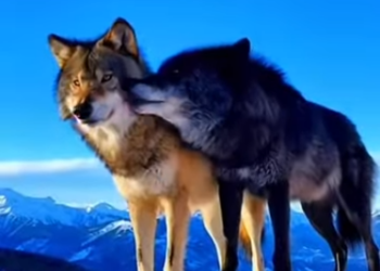 P1314006_She Was Ghost… Then She Gave Me Her Baby (Part 2)