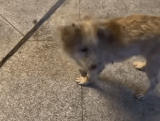 No more fear, only love (Part 2)