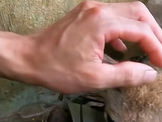 U1314005 mudaram da casa deixaram ele sozinho sem nada (Part 2)