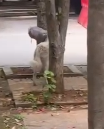 Love wins again (Part 2)