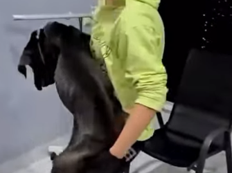 U1314014 Um gigante sem forças mas com um coração que só precisava de uma cha (Part 2)