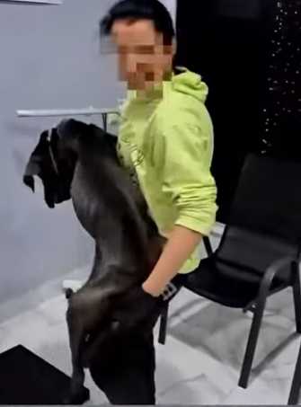 U1314014 Um gigante sem forças mas com um coração que só precisava de uma cha (Part 2)