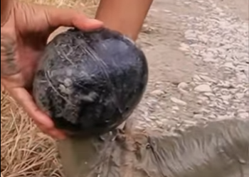 U1314008 pobre cãozinho encontramos no banhado com algo preso na cabeça (Part 2)