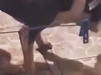 U1314018 Ele só tinha água quando chovia