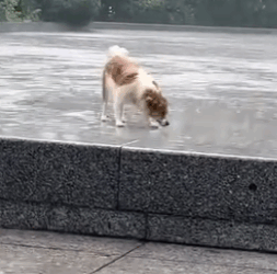 Tiny but strong (Part 2)