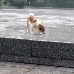 Tiny but strong (Part 2)