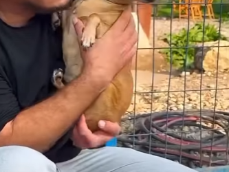 U1314001 Ela viveu com medo presa, escondida, sem esperança (Part 2)