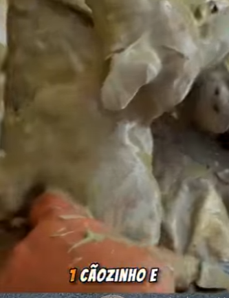 U1314015 animais na lama (Parte 2)