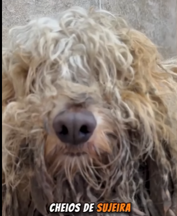 U1314017 Seu olhar me fez parar carro vc mudou meu dia (Part 2)