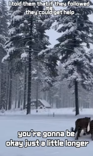 P1012009 never thought get gift Snow Leopard (Part 2)