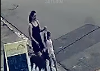 V1314008 Perro Salva una Mujer su Hija del Ataque de un Pitbull en la Call (Parte 2)