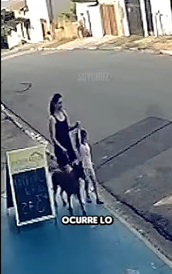 V1314008 Perro Salva una Mujer su Hija del Ataque de un Pitbull en la Call (Parte 2)