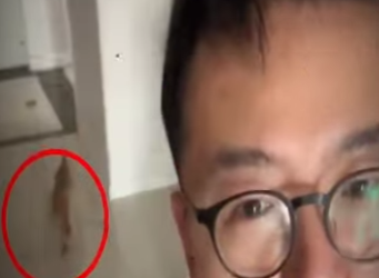 V1112004 Fue rescatado por dólares (Parte 2)