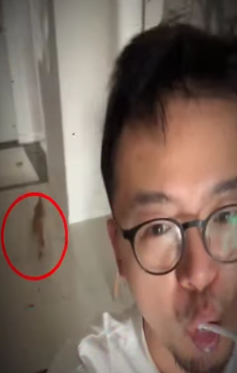 V1112004 Fue rescatado por dólares (Parte 2)