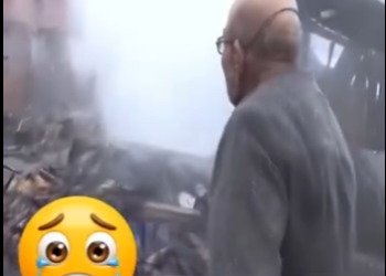 V1314010 El solo quería rescatar su gato (Parte 2)