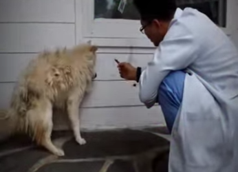 V1314007 algo le hicieron en el pasado por eso su comportamiento (Parte 2)