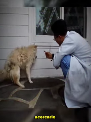 V1314007 algo le hicieron en el pasado por eso su comportamiento (Parte 2)