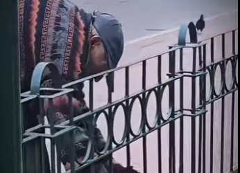 V1314003 han permanecido años juntos (Parte 2)