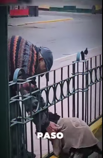 V1314003 han permanecido años juntos (Parte 2)