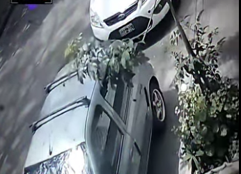 V1314004 se robaron su automóvil dentro iba su amada perrita (Parte 2)