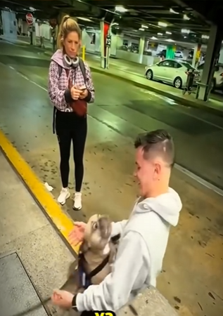 V1314009_se reencuentra con su perro después de años (Parte 2)