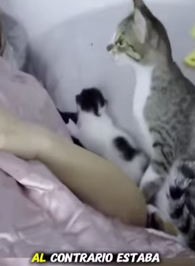 V1314006_Quería cuidar sus hijos de los intrusos (Part 2)