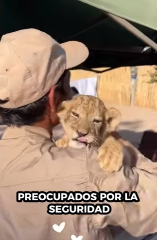 R1314001 Rescata al león (Parte 2)