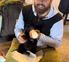 R1314009 rescate de un cachorro de oso negro (Parte 2)