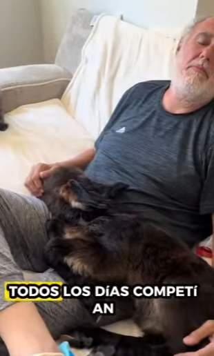 R1314010 Rescata al burrito