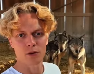 P1516013 Can believe their mother wolf passed away (Part 2)